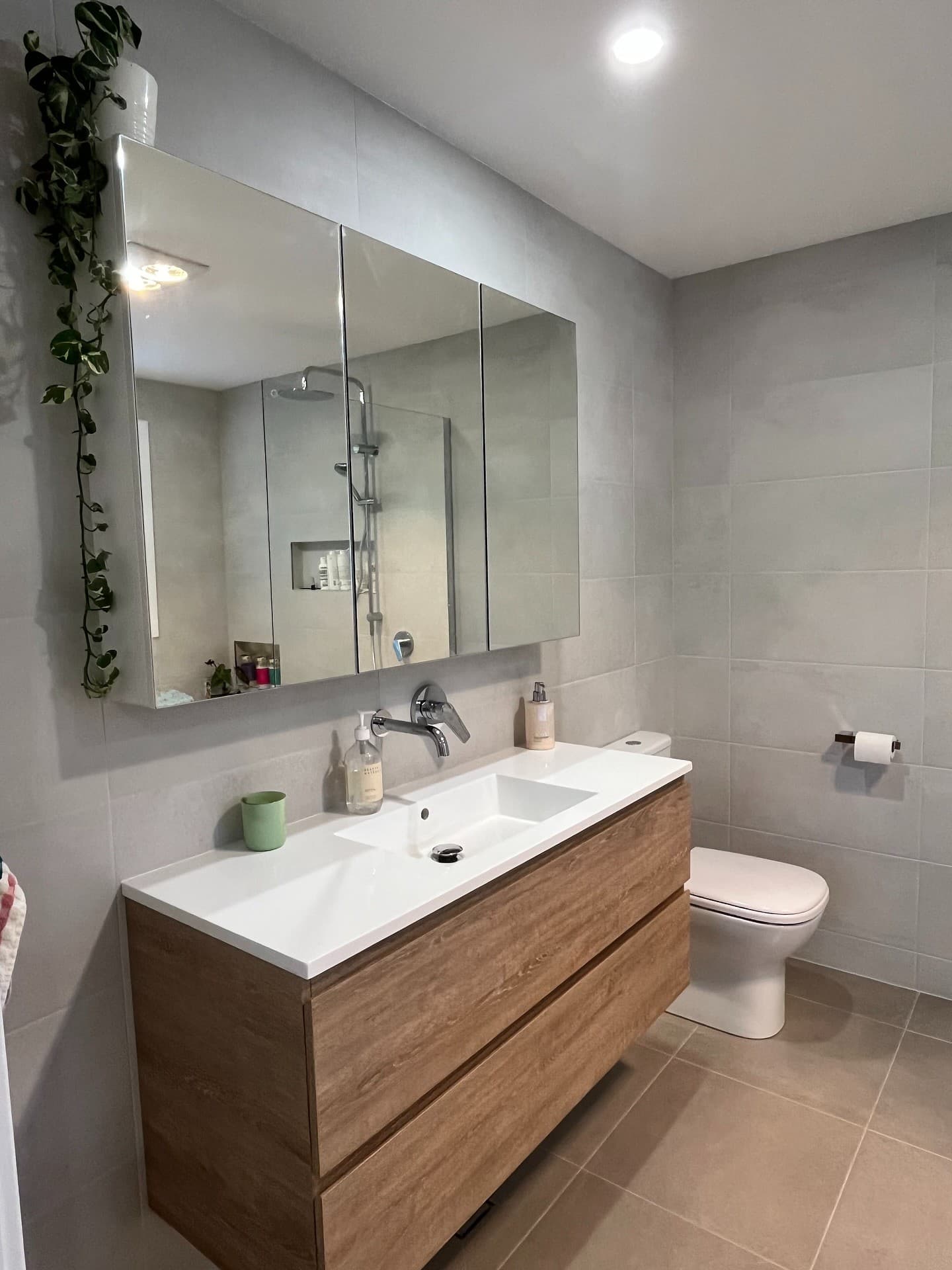 Wall-hung vanity with mirrored cabinets